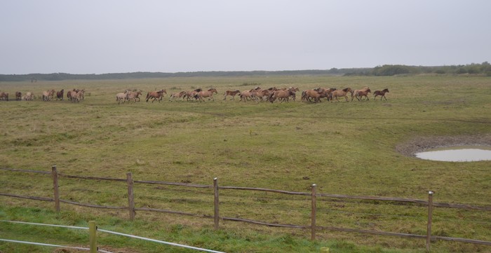 Tourisme baie de somme - gites drucat