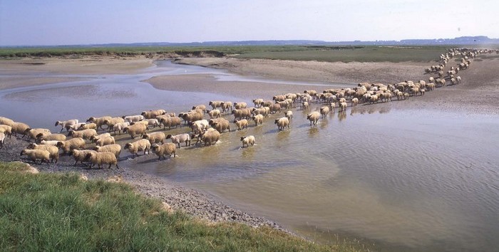 Tourisme baie de somme - gites drucat