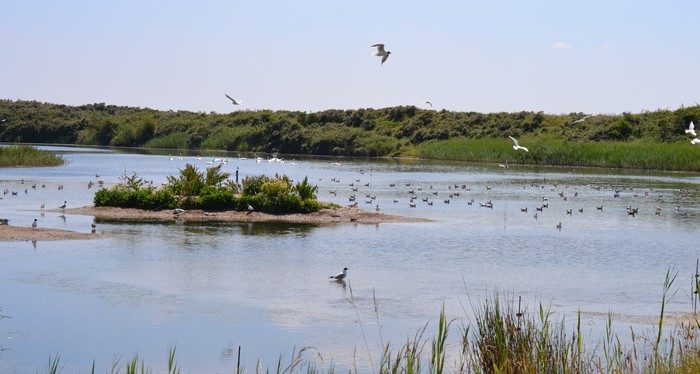 Tourisme baie de somme - gites drucat