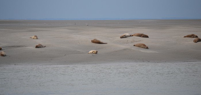 Tourisme baie de somme - gites drucat